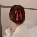 Kit com 10 Piranhas de Cabelo Retangulares | 5 Cores | Grandes Proart